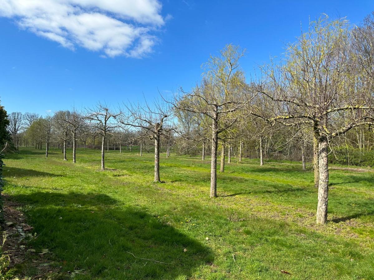 Stijlvol Huisje In De Brabantse Natuur! Tuynloodz B Beers  Buitenkant foto